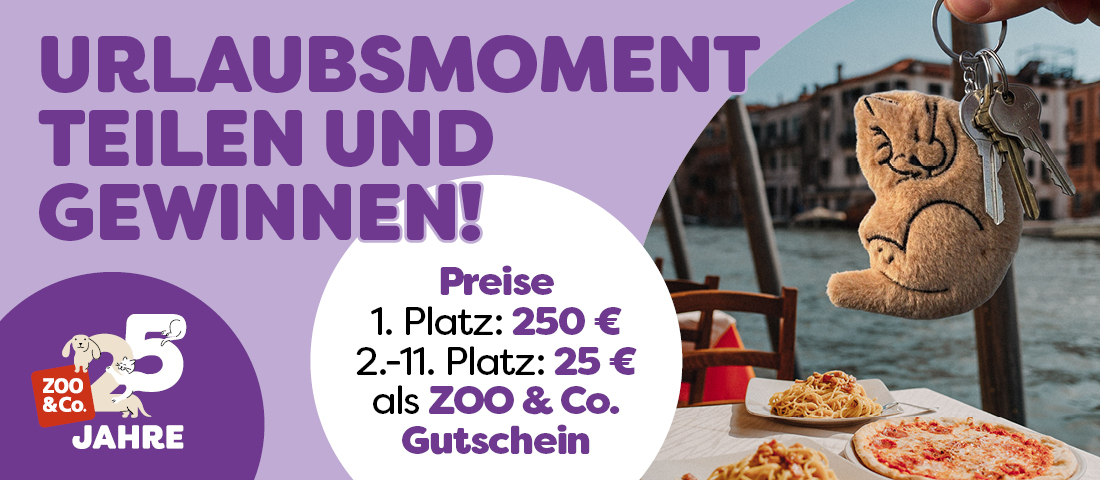 Entdecke die Fotoaktion!